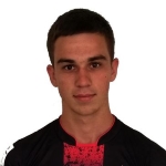 صورة Nikola Subotić