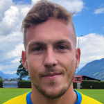 صورة Josip Brkić