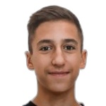 Aleksandar Petruljevic