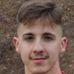 صورة رافينها