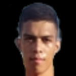 Franklin Therezinho Pinheiro da Silva Neto