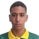 Ygor Gabriel de Lima Alves