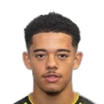 صورة Dominic  Hutchinson