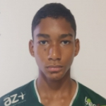 Vinicius Pereira Vinicius Pereira