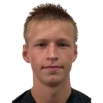 صورة Grigoriy Komissarov