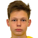 صورة Mikhail Krasilin