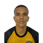 Vinicius Waldrich da Silva Vinicius Waldrich da Silva