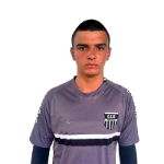 Leonardo Würzler dos Santos Leonardo Würzler dos Santos