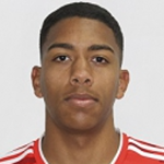 Vitor Augusto Vieira Santos Vitor Augusto Vieira Santos