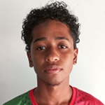 Paulo Vinícius Araújo Gomes