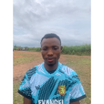 صورة Henry Fresh Osatuyi