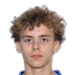 صورة Vincent Ibrahimović