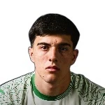 صورة Arthur Rampineli Borghi