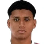 Gabriel Felipe Lara Pinheiro