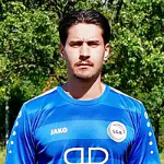 Dominik Hamyede Dominik Hamyede