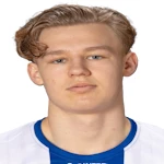 صورة Theodor Sjögren