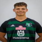 Dāniels Āboliņš-Auzuleja