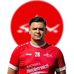 Eldin Alomerovic Eldin Alomerovic