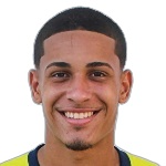 David Freitas David Freitas
