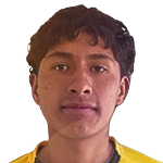 Diego Armando Escobar Mamani