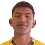 Luis Fernando Ticona Checa