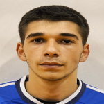 Enis Salkić