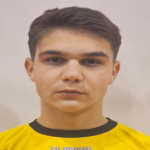 Adin Gojkić