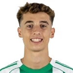 Francisco Curvelo Francisco Curvelo