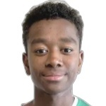 Chow Damanik Chow Damanik