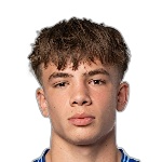 صورة Dino Vidos