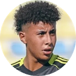 Shawky Elsaed