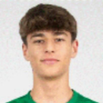 Dinis Miguel  Henriques