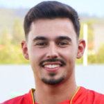 Vítor Pedro  Mendes