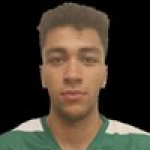 Afonso  Teixeira Caleira