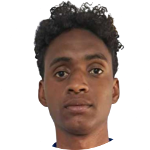 Matheus dos Santos Vicino da Silva