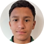 Henrique Santos De Lima