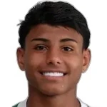 Vinicius Martins de Lima