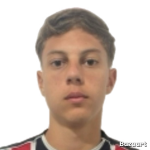 Henrique Ilecki Forgiarini