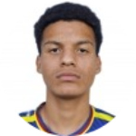 João Henrique Chaves De Araujo