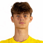 Arseniy Plaksa