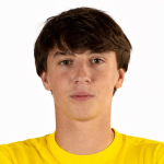Artem Yaremenko