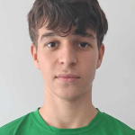 Bálint Erik Gaál