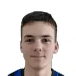 Roko Anić