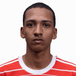 Victor Henrique Anjos Gomes