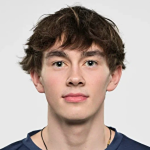 Dmitriy Shchekochikhin