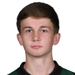 Nikolay Strashko