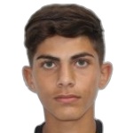 Ali Kamali