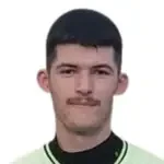 Nikola Prekpaljaj
