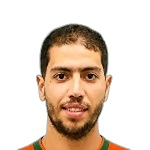 محمود الحلواني