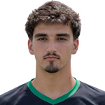 Dinis Vaz